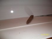 100_2721.jpg