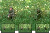 Маскировочный костюм КМП М2 "Оборотень СМЕРШ-ТМ" (Берёзка желтый лист)