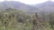 20170521_094404.jpg
