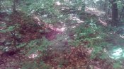 IMG_20170523_162611.jpg