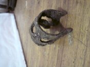 DSC00533.JPG