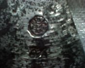 DSC00005.jpg