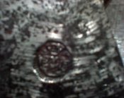 DSC00006.jpg