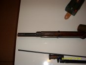 SDC11715.jpg