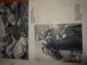 DSCN5573.JPG