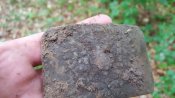 IMG-20170525-WA0008.jpg
