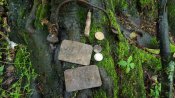 IMG-20170525-WA0007.jpg