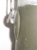 CIMG7010.JPG