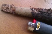 IMAG1709-1.jpg