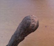 IMAG1712-1.jpg