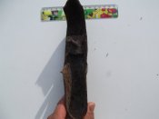 DSCF3242.JPG