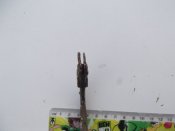 DSCF3249.JPG