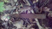 IMG_20170528_131000.jpg