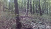 IMG_20170528_154941.jpg