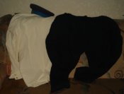 DSC09479.JPG