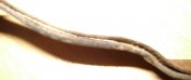 DSC07986.JPG