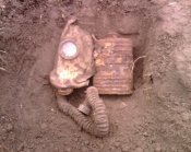 IMG0259A.jpg