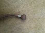 20170527_075725.jpg