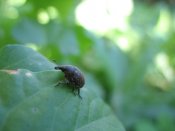 IMG_2876.jpg
