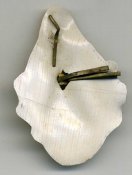 img241.jpg