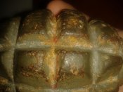 2011-12-23 17.24.10.jpg