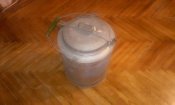 20170531_155152.jpg