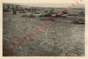 Bulgarien Flugplatz Flugzeug ME109 JG52_1.jpg