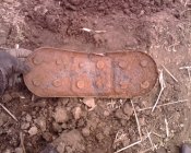 IMG0456A.jpg