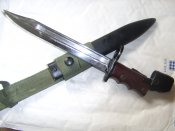 STA73325.JPG