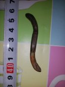IMG_20170602_004000.jpg