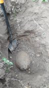 20170426_173134.jpg