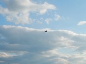 e20bf022fd29a6722.jpg