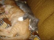 DSC00289.JPG
