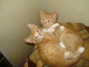DSC00329.JPG