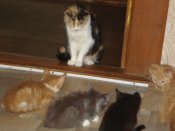 DSC00381.JPG