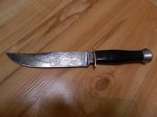 DSCN0153.jpg