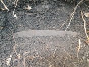 20170602_094054.jpg