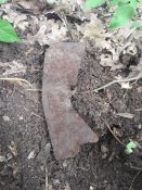 20170602_121459.jpg