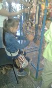 20170603_131547.jpg