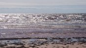 DSC_0825.jpg