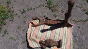 20170603_131317.jpg