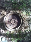 IMG_20170603_154555.jpg