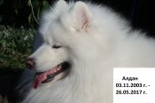 АЛДАН 2017.jpg