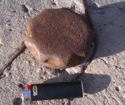 IMAG1773-1.jpg