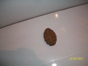 100_2807.jpg