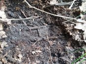 20170604_105715.jpg