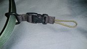 DSC01420.JPG