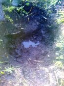 20170604-0011.jpeg