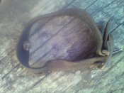 IMG_20170605_154738_1.jpg