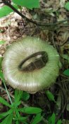 IMG-20170603-WA0006.jpg